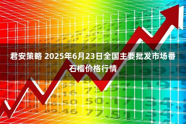 君安策略 2025年6月23日全国主要批发市场番石榴价格行情