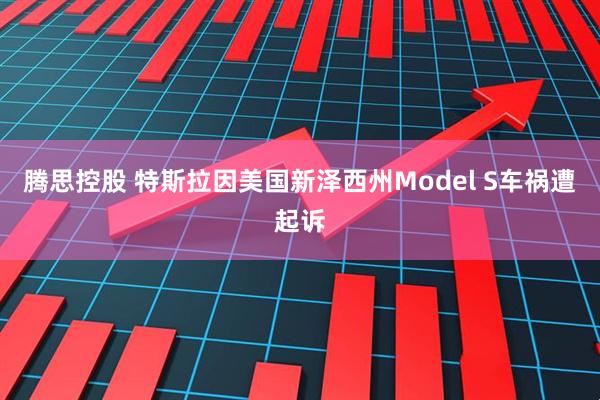 腾思控股 特斯拉因美国新泽西州Model S车祸遭起诉