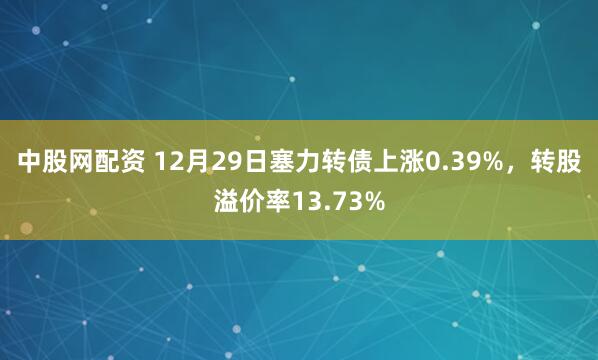 中股网配资 12月29日塞力转债上涨0.39%，转股溢价率13.73%